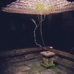 Courtyard house